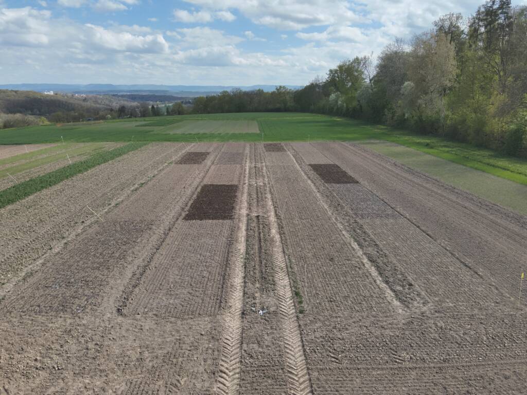 Vegetables' fertiliser trial. Credits; KHOH