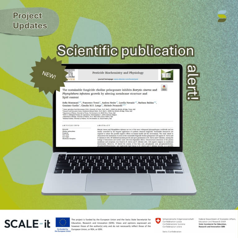 SCALE-it scientific publication