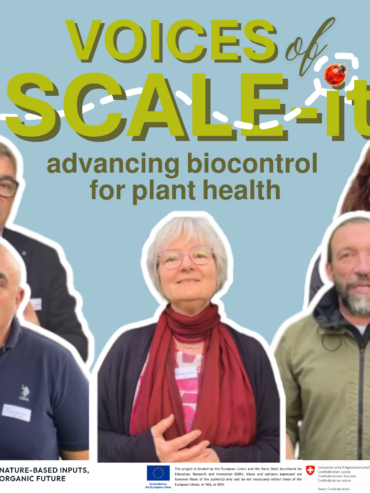SCALE-it partners discussing about biocontrol