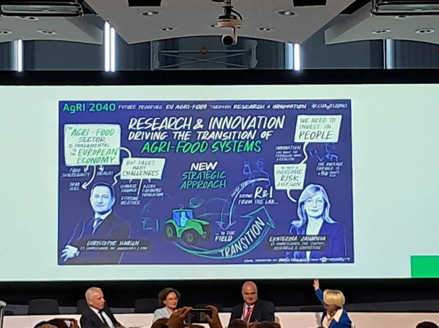 research & innovation - driving the translation of agri-food systems
